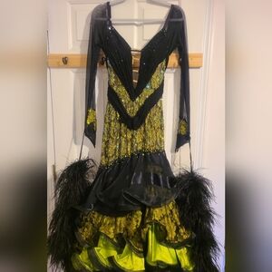 Gorgeous Standard Ballroom Dress